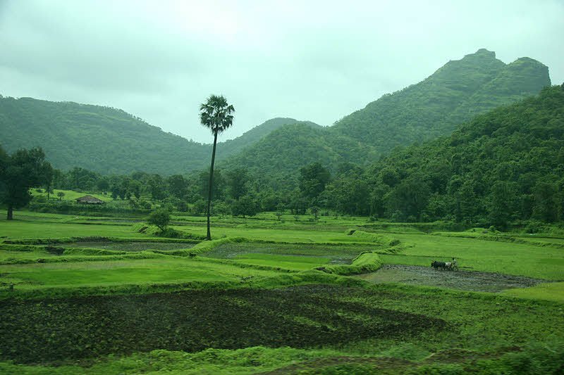 Dadra & Nagar Haveli